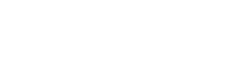 Flipside